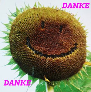 Ergebnisse Bundestagswahl 2025